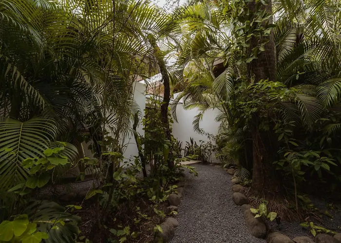 Villa Nalu Pool Jardin Nosara